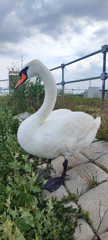 Photograph by Ольга