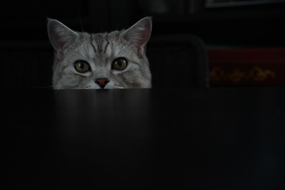 Photograph by Светлана Рубникович