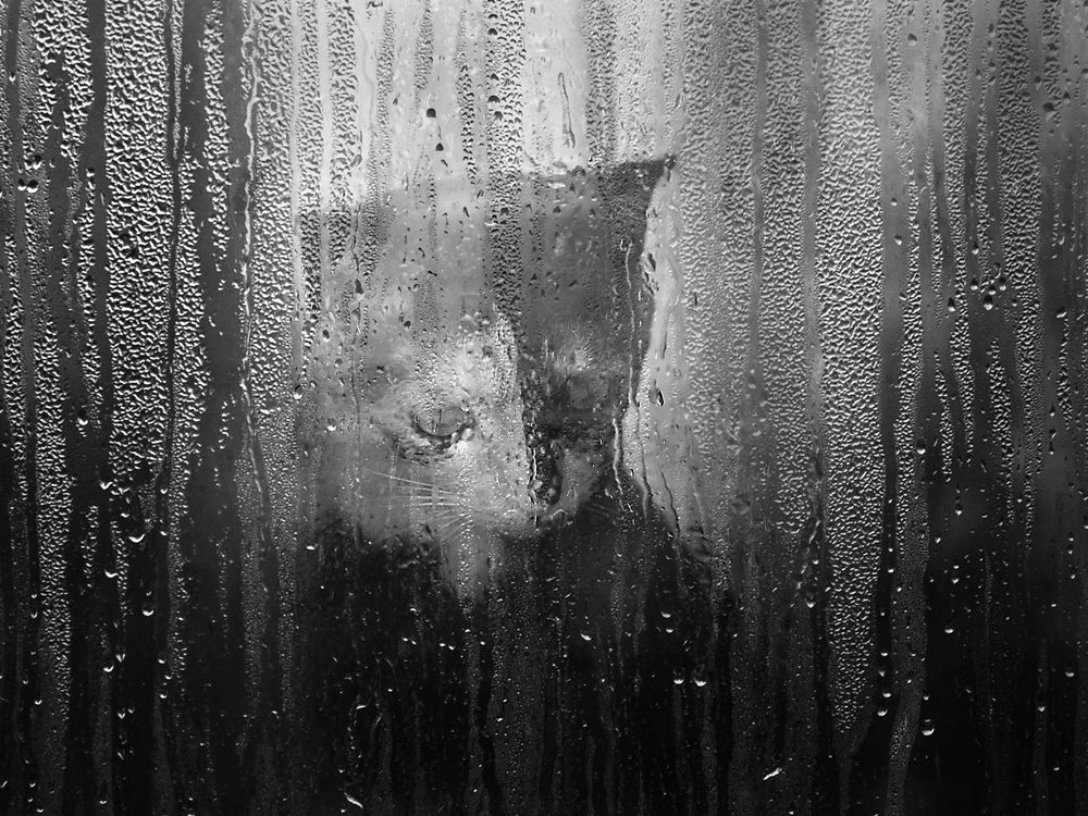 Photograph by Tatevik Tananyan