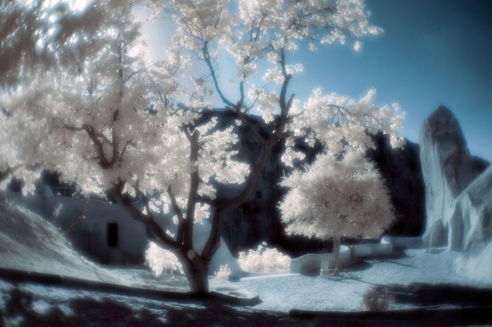 Фотография автора Грачёв Олег