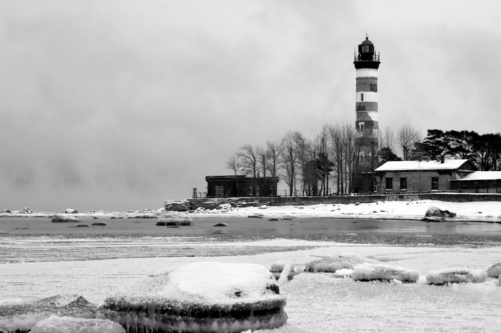 Photograph by елена