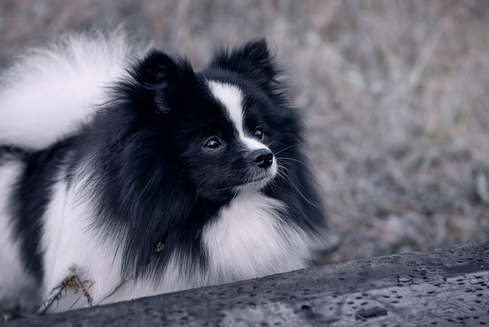 Photograph by Натали Фромм