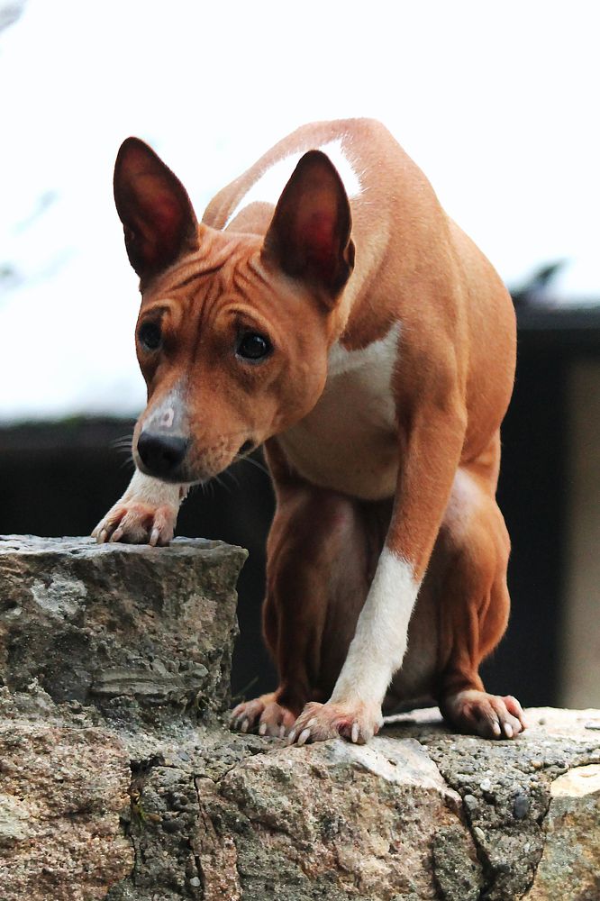 Photograph by Диана Ульянцева