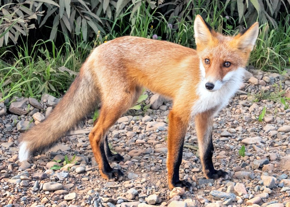 Photograph by Юрий Тимофеев