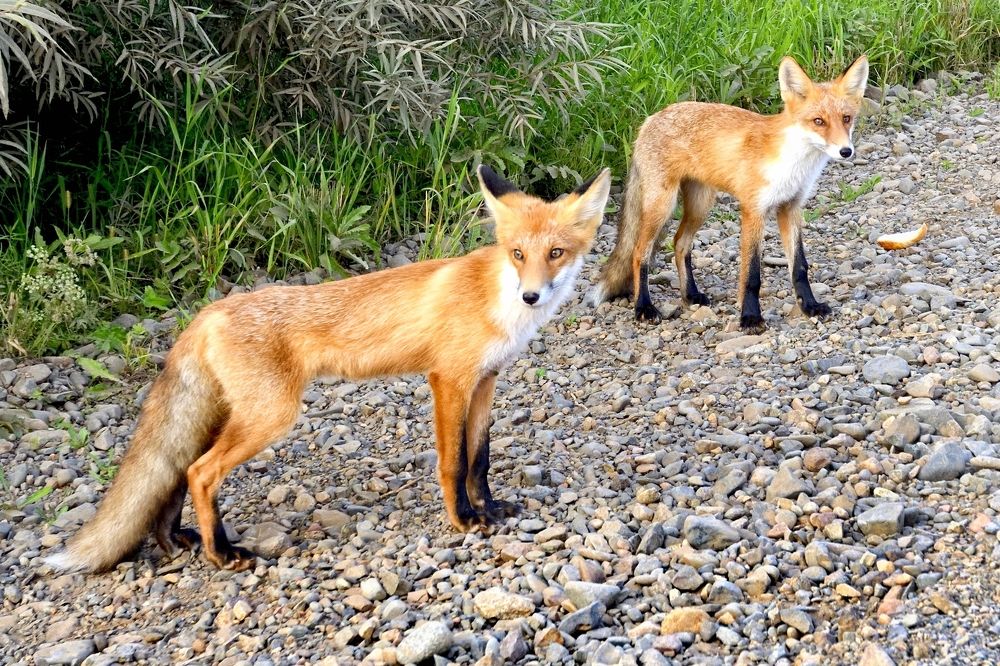 Photograph by Юрий Тимофеев