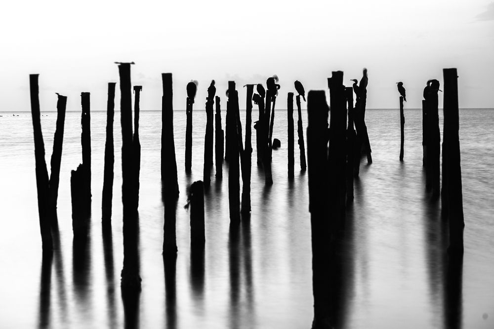 Photograph by Sergey Lexin