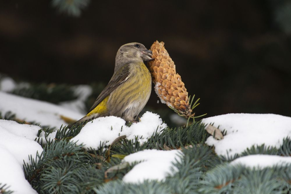 Photograph by Мария Долбич