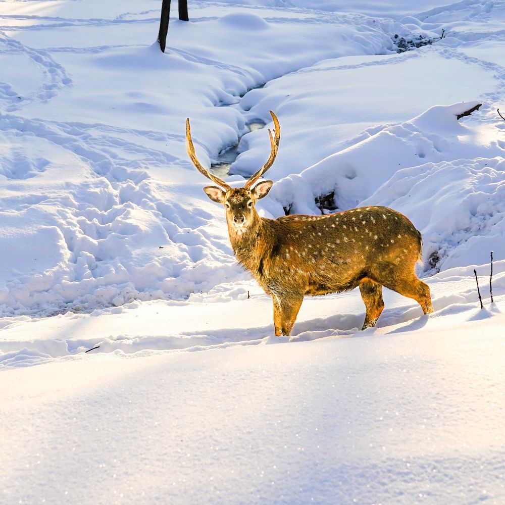 Photograph by Bulat Bayzuldin