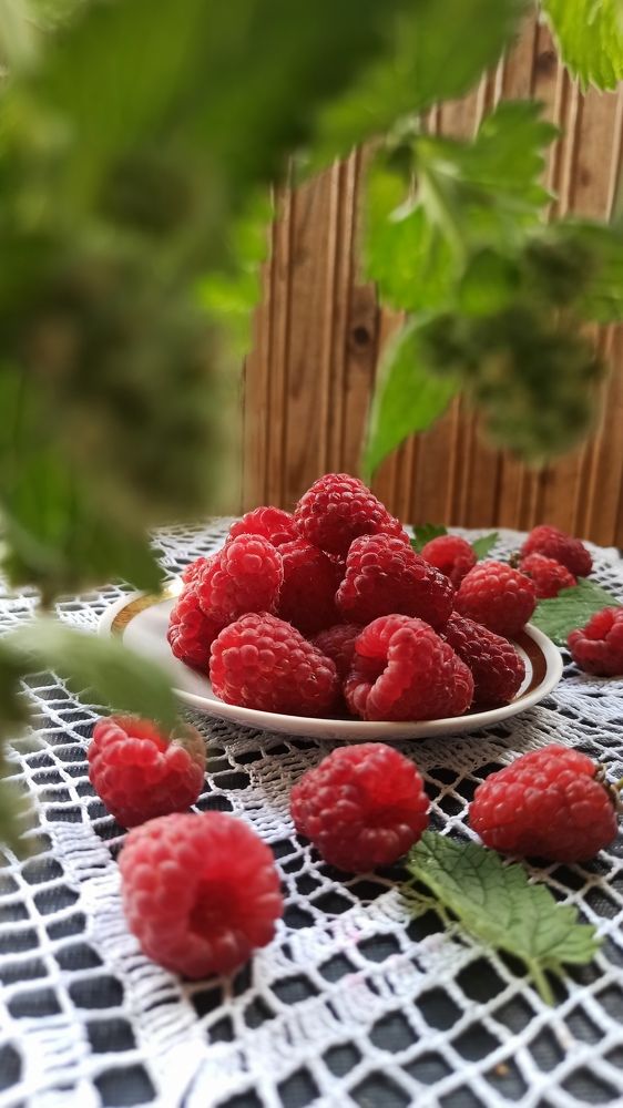 Photograph by Людмила Щуцкая