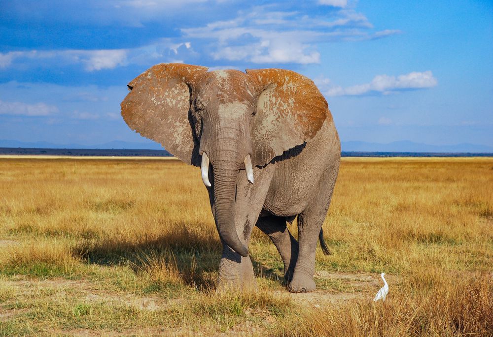 Photograph by Рохмистрова Мария