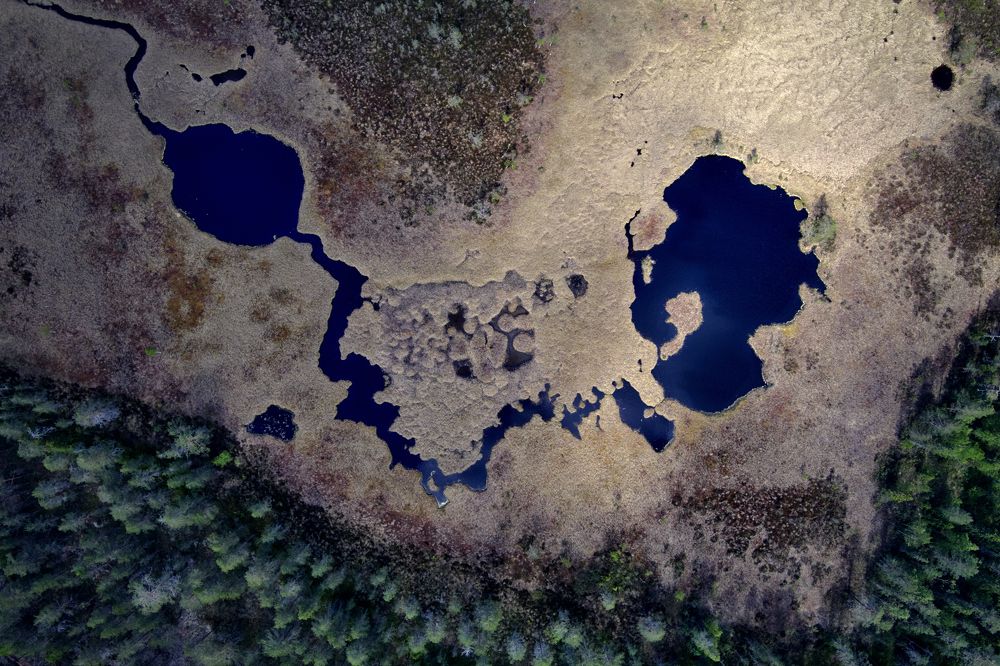 Photograph by Нуреев Камиль