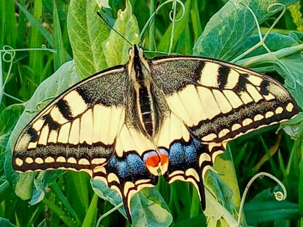 Photograph by Елена Никитина