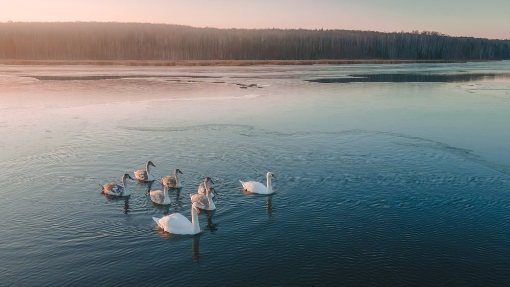 Скоро в дорогу