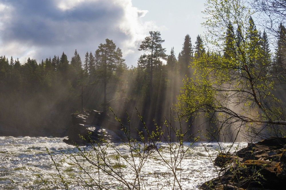 Photograph by Andrei Baburin