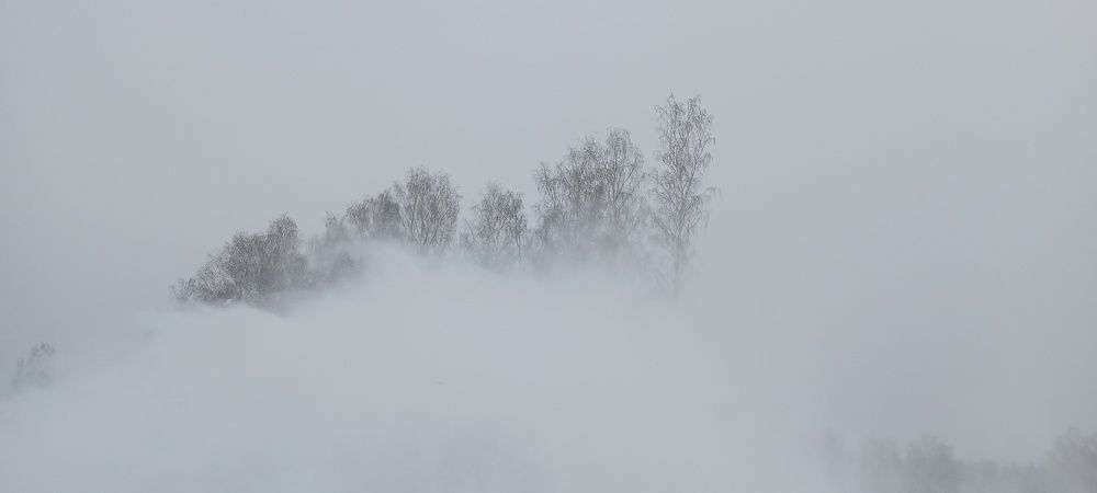 Photograph by Ольга Лагунова