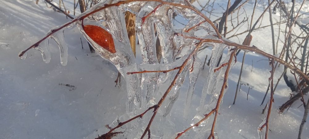 Photograph by Ольга Лагунова