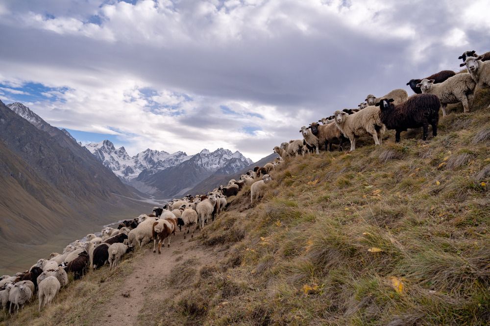 Фотография автора Ахмат Байсиев