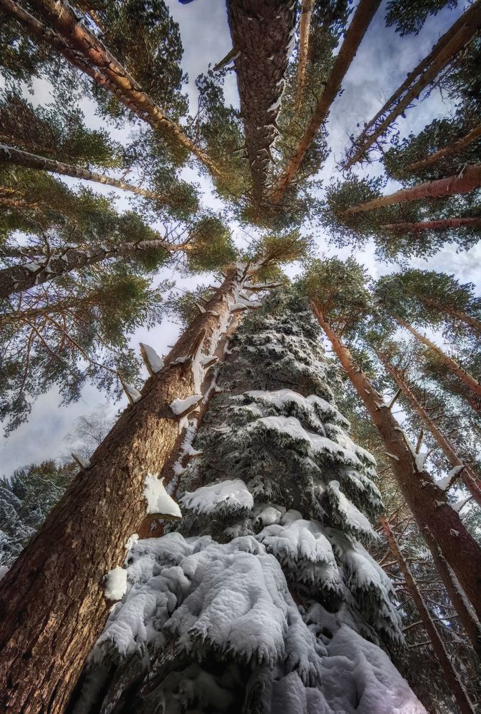 Winter in Vitosha mountain, Bulgaria