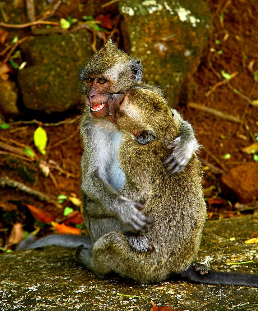 Фотография автора ИГОРЬ МЕЛЬНИКОВ