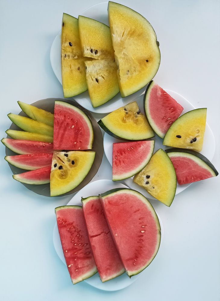 Фотография автора Лолита Богачева