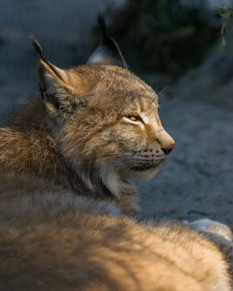 Photograph by Николай Головко