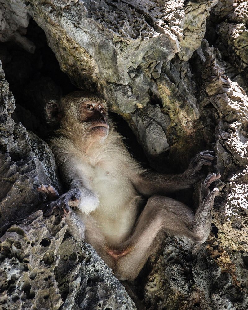 Photograph by Timur Korotkov