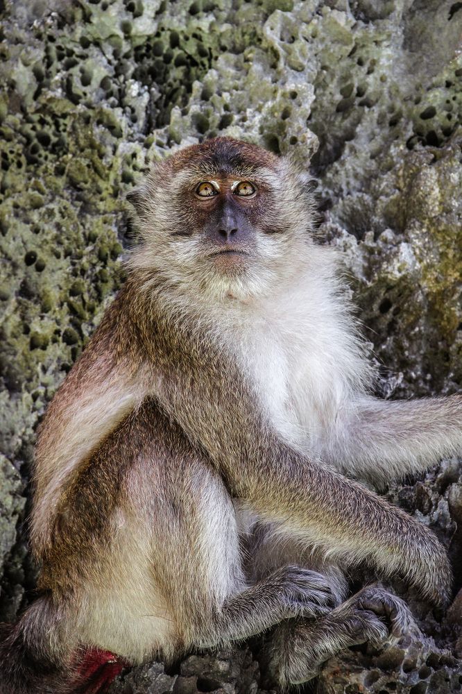 Photograph by Timur Korotkov