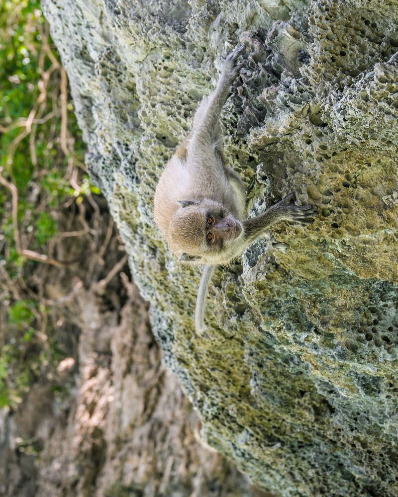 Photograph by Timur Korotkov