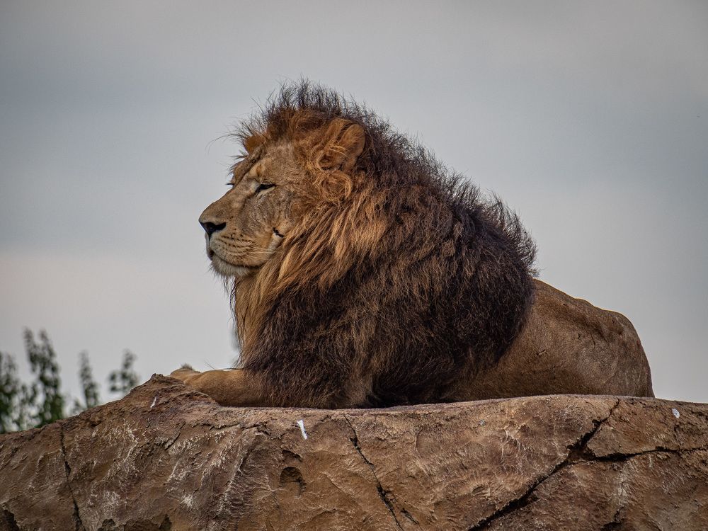 Photograph by Ignatov Yury