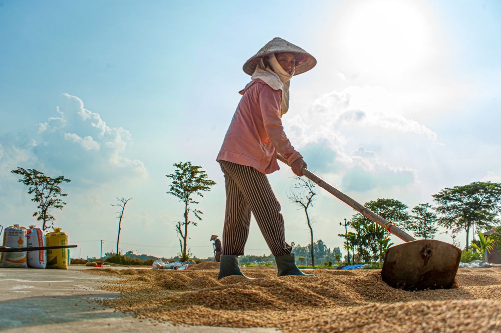 Фотография автора Nguyễn Minh