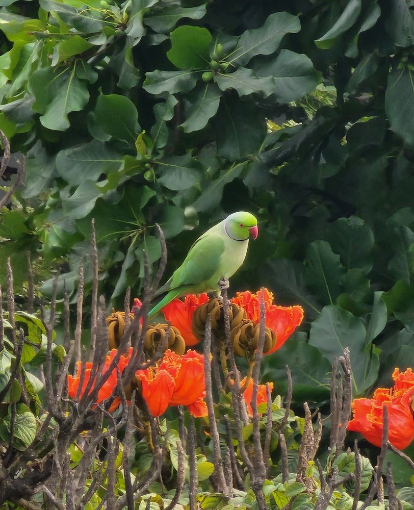 Photograph by Deeksha Revankar