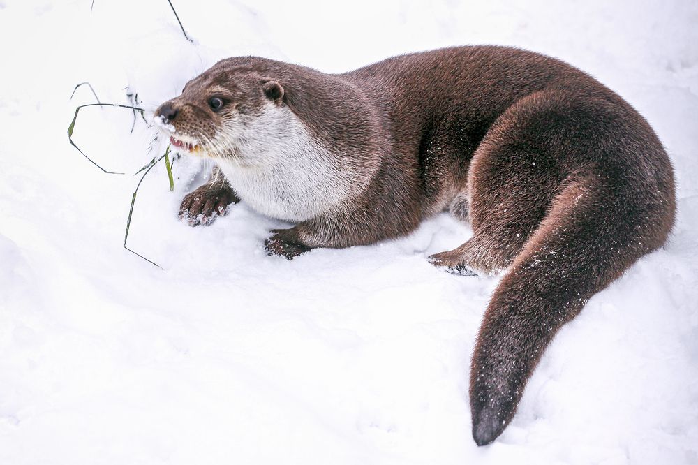 Photograph by Сергей Черных