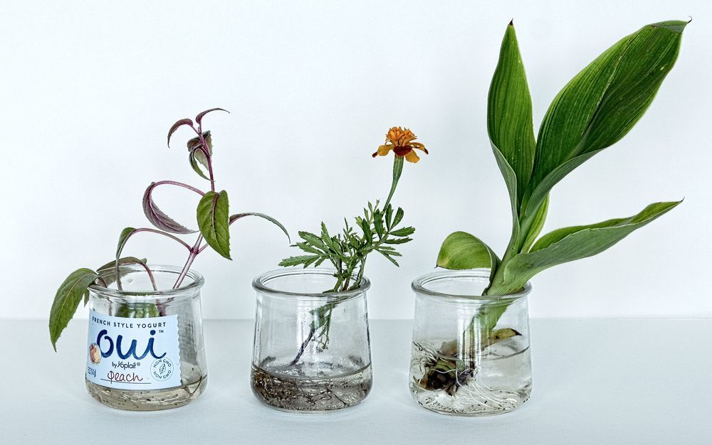 Photograph by Анатолий Костерев