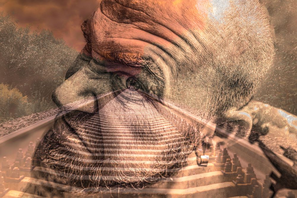 Photograph by Антон Гаврилов