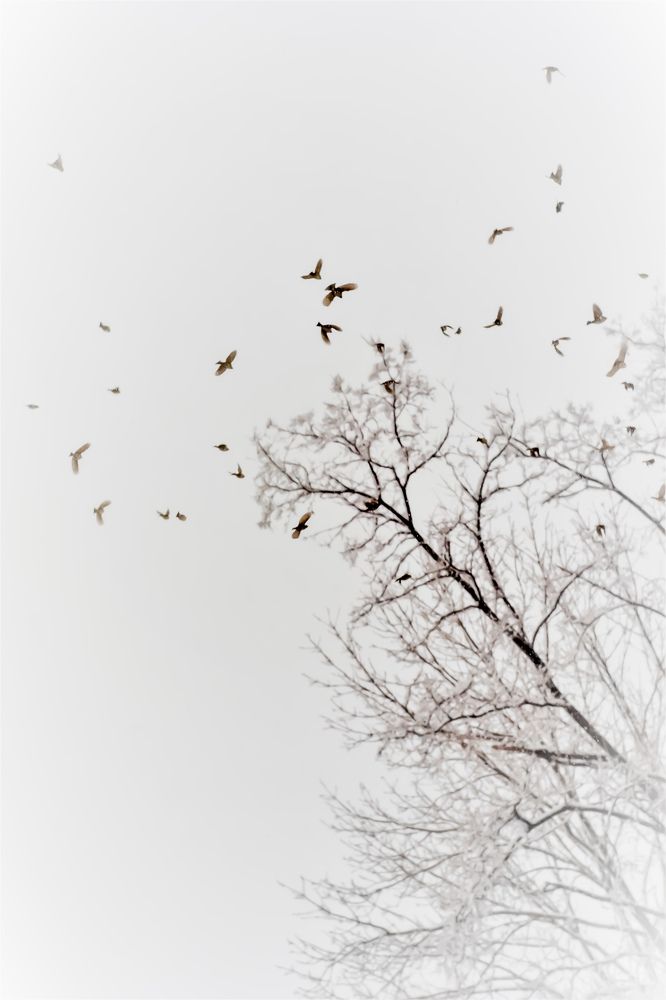 Photograph by Переверзева Татьяна