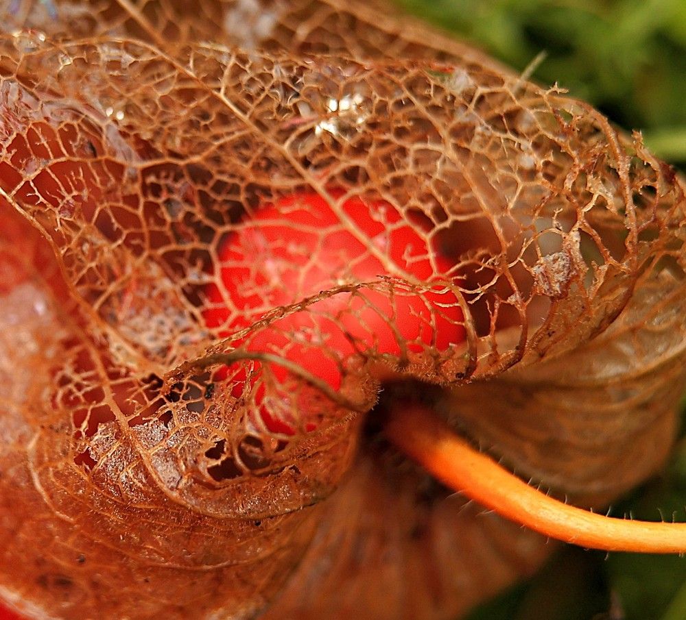 Photograph by Елена Одынец