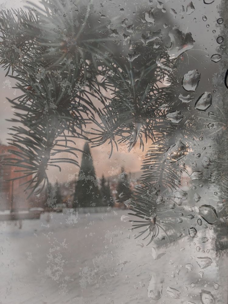 Фотография автора Светлана