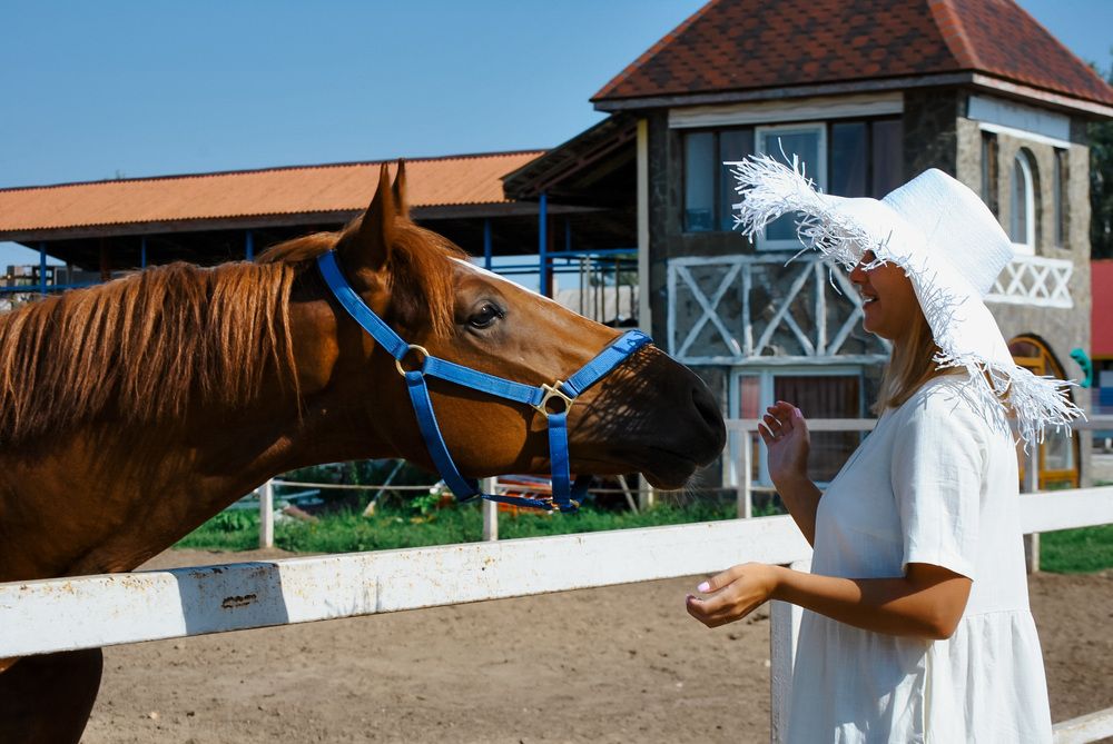 Photograph by Родионова Анастасия