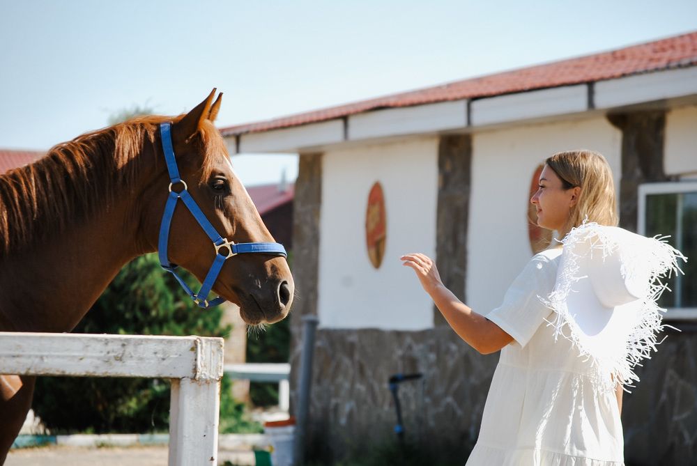 Photograph by Родионова Анастасия