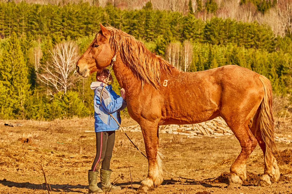 Photograph by Дмитрий Пасынков