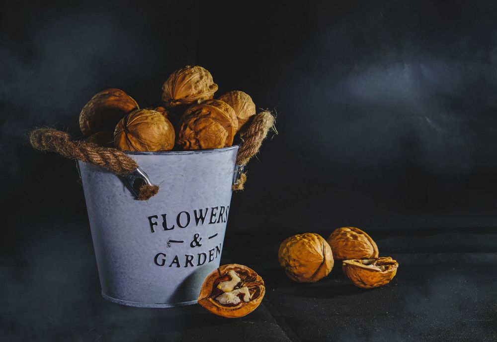 Photograph by lyudmila Soloveva