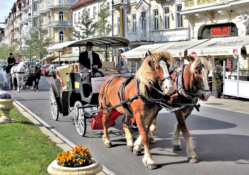 Идилия Марианских лазней