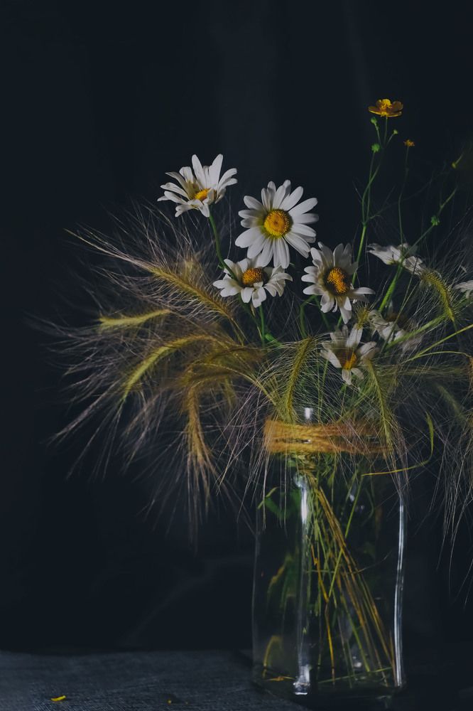 Photograph by lyudmila Soloveva