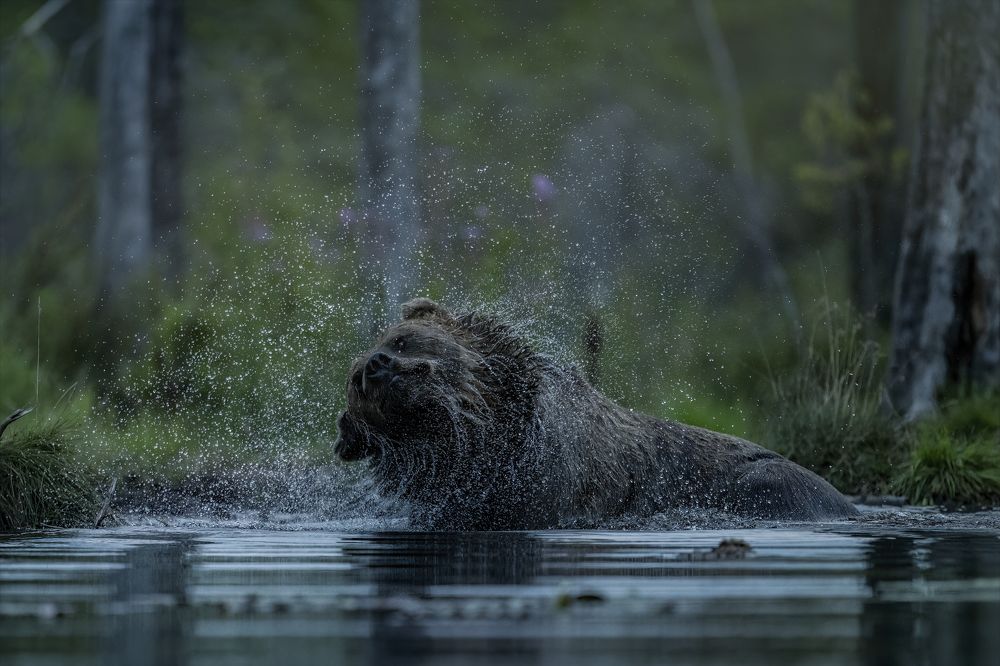 Photograph by Ernestas Balcikonis