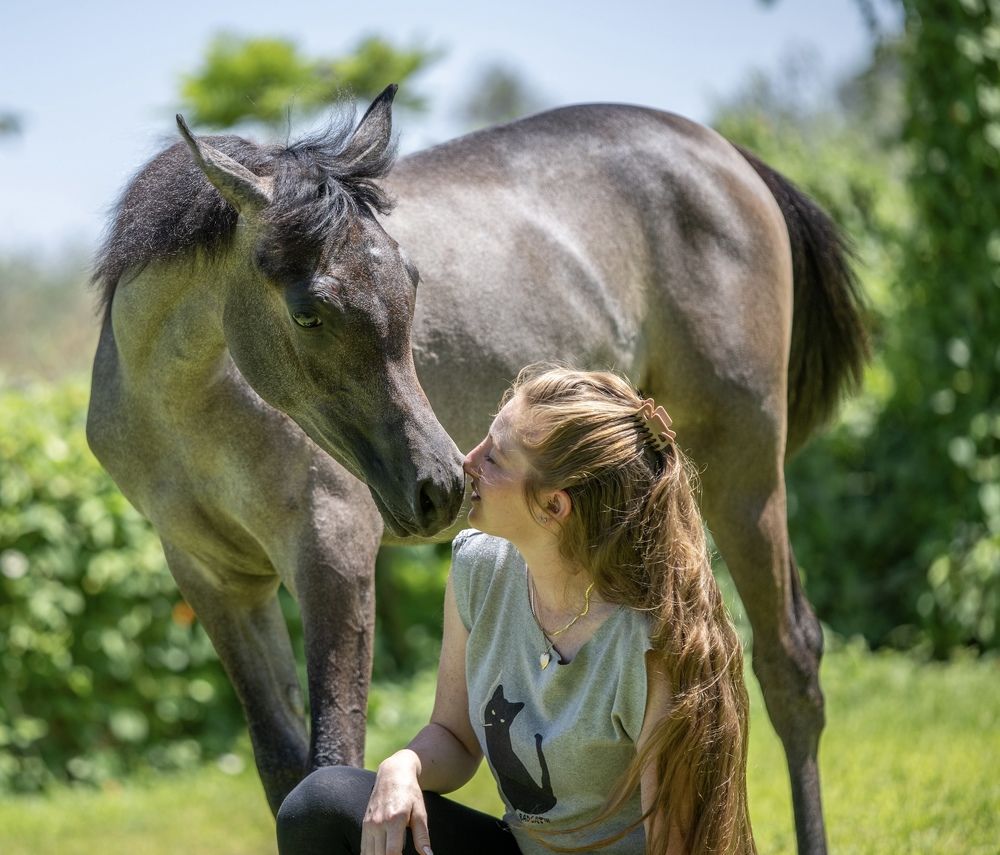 Фотография автора Mohammed sajd Abo ganem