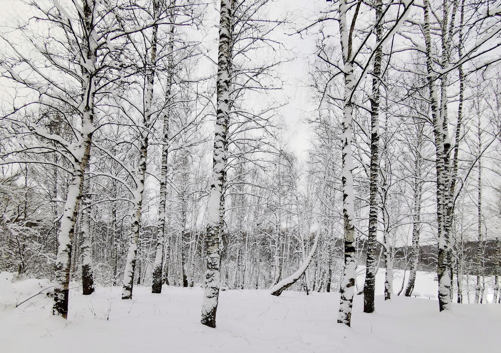 Photograph by Баринов Борис