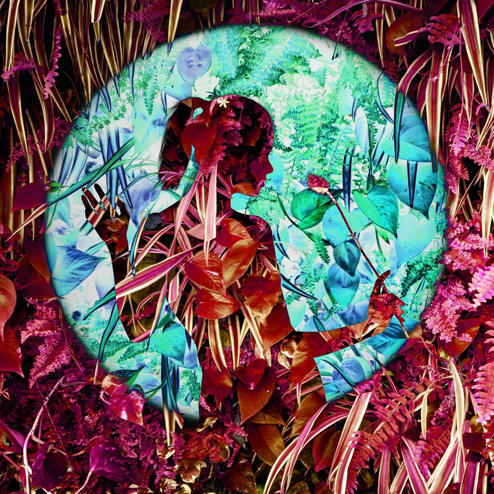 Фотография автора Refat Mamutov