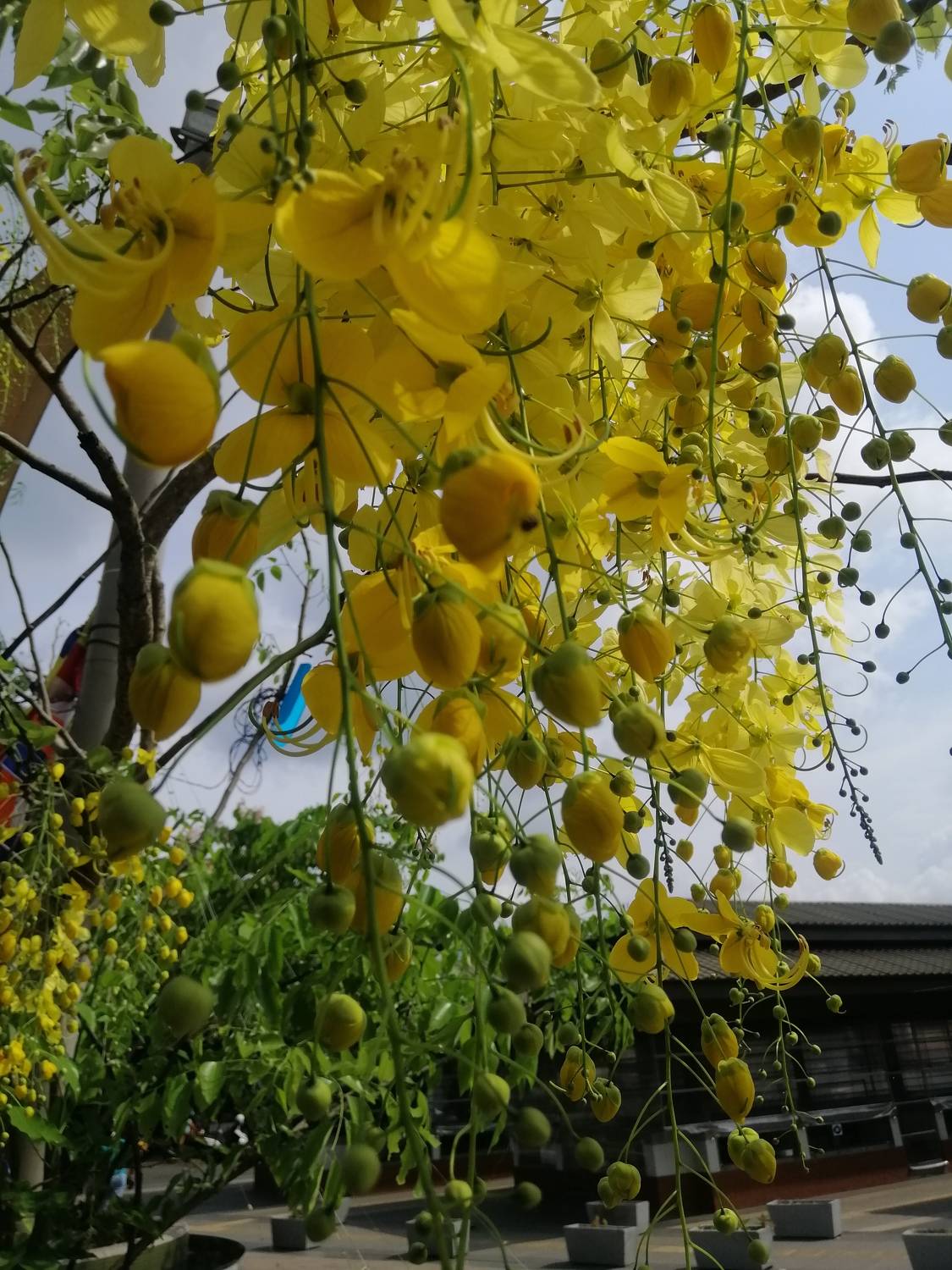 Photo #9960633