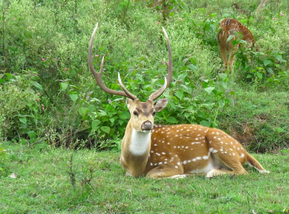 Photograph by ANISH BISWAS