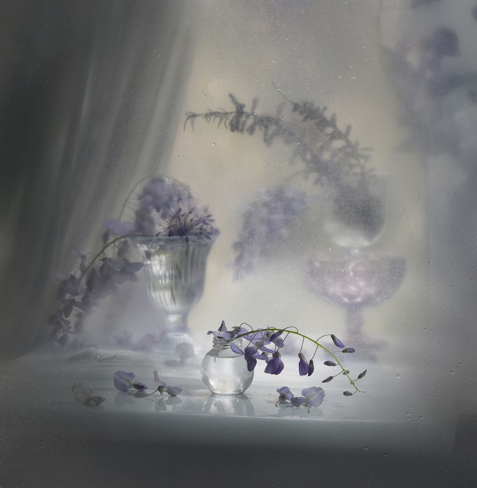 Фотография автора Ирина Шипунова